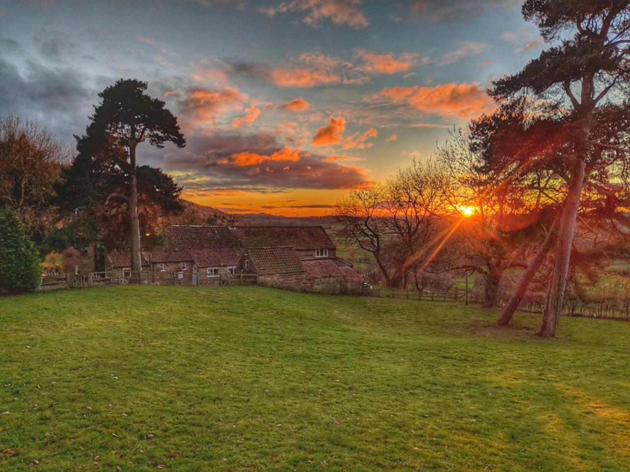 Park House Bed & Breakfast Ingleby Arncliffe Dış mekan fotoğraf