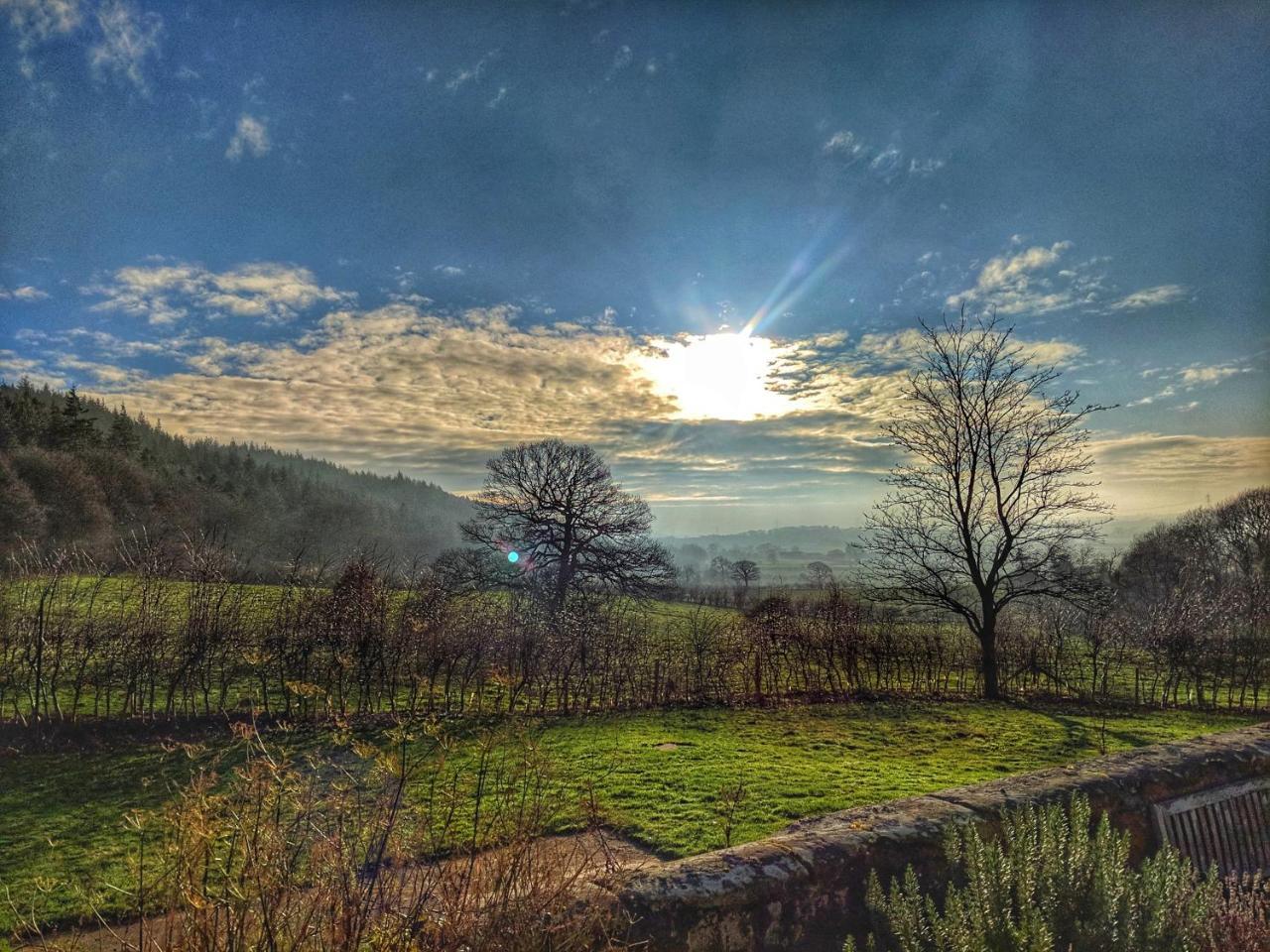 Park House Bed & Breakfast Ingleby Arncliffe Dış mekan fotoğraf