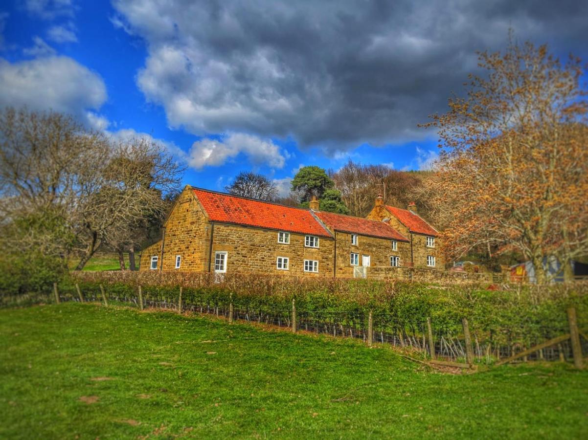 Park House Bed & Breakfast Ingleby Arncliffe Dış mekan fotoğraf
